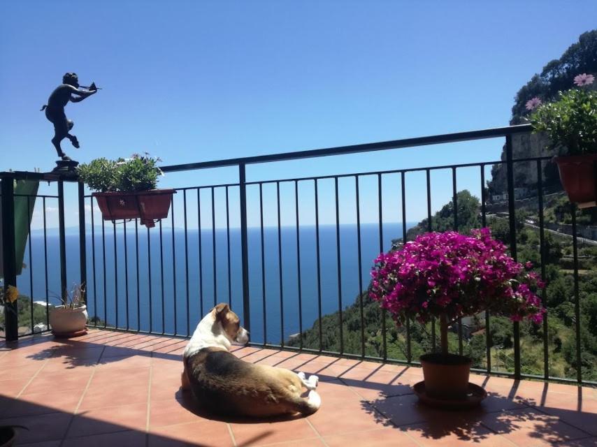 Domus Gaia Bed & Breakfast Amalfi Luaran gambar